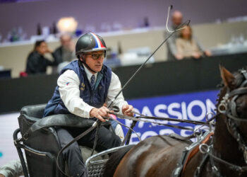 Attelage et para-attelage : la France entre apprentissage et promesses