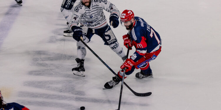 Synerglace Ligue Magnus : la chasse à la Coupe reprend