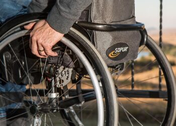 Somme : 260 km de sentiers labellisés handi’spot pour une nature accessible à tous
