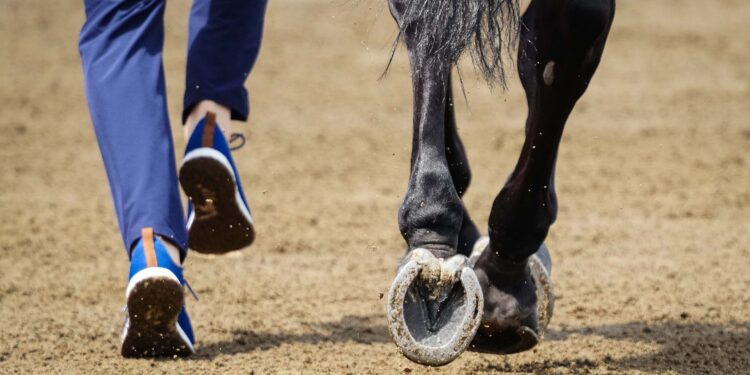 Equita Lyon 2025 : la passion équestre à son plus haut niveau