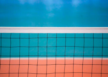 Volley : Saint-Dié, les Louves dans la cour des grandes