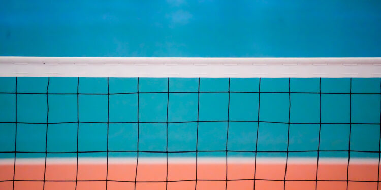 Volley : Saint-Dié, les Louves dans la cour des grandes