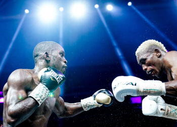 Boxe : nouvelle ère pour la Ligue Nationale de Boxe Professionnelle