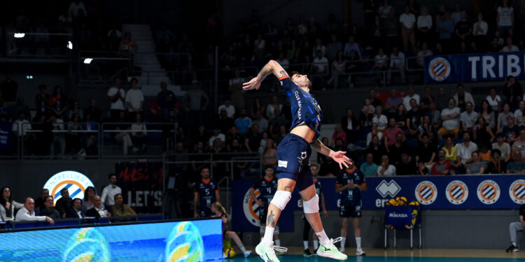 Volley : Montpellier vise encore plus haut après une saison de haut vol