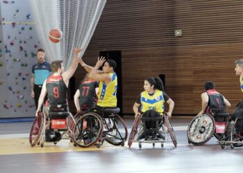 LUC Lille handibasket : cap sur la relance