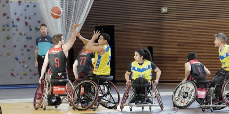 LUC Lille handibasket : cap sur la relance