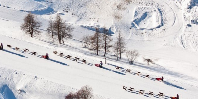 La Grande Odyssée fait le tour d'Auvergne-Rhône-Alpes