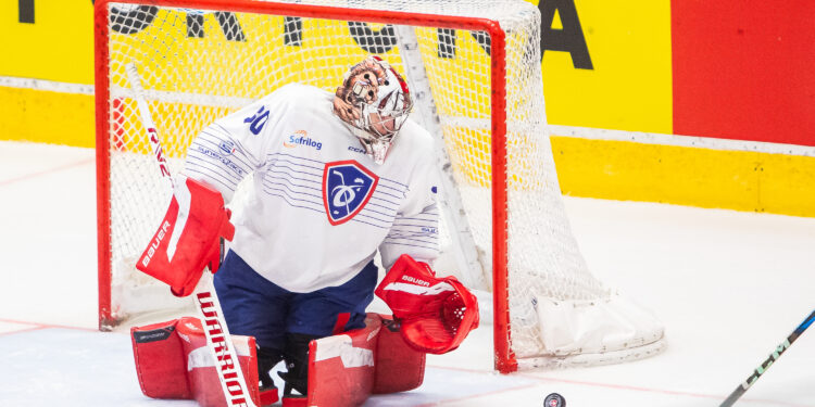 Hockey sur glace : les Bleus repartent au combat à Budapest