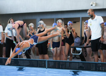 Associations et collectivités, colonne vertébrale du sport en France