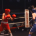 Championnats de France de boxe 2026 - REPLAY : Mayssoun Bourega / Kaelya Mopin (51kg)