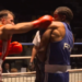 Championnats de France de boxe 2026 - REPLAY : Sami Diguerher / Vincent Djinou (90kg)