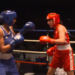 Championnats de France de boxe 2026 - REPLAY : Shainez Grout / Lina Souaken (65kg)