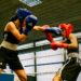 Boxe : les finales féminines vont faire le show à La Rochelle