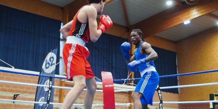 Boxe : fratrie et sang frais, ça va chauffer à La Rochelle !