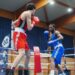 Boxe : fratrie et sang frais, ça va chauffer à La Rochelle !