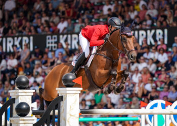 Équitation : quatre officiels français au cœur des championnats du monde