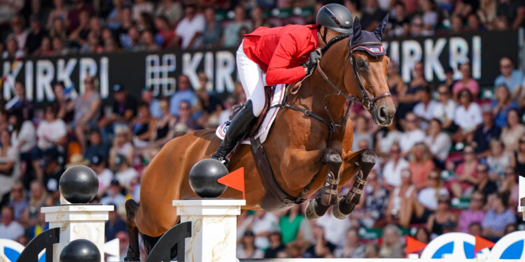 Équitation : quatre officiels français au cœur des championnats du monde