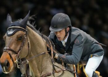 Équitation : Bordeaux dans les starting-blocks