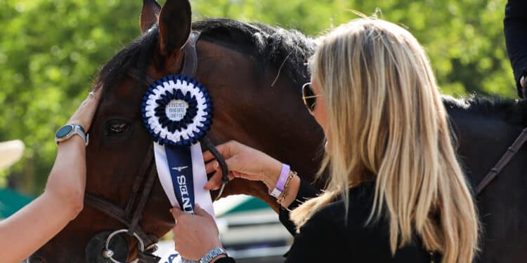 Salon International de l'Agriculture 2026 : la Fédération Française d'Équitation ouvre les portes du monde du cheval