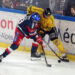 Hockey sur glace : Rouen ou Grenoble, à qui la Coupe à Bercy ?