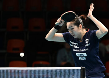 Tennis de table : les frères Lebrun et les Bleus brillants au Top 16 européen !