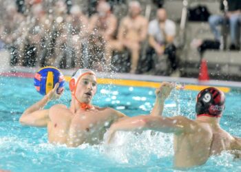 Water – polo : l’élite européenne fait vibrer le Douaisis, une fierté pour le territoire