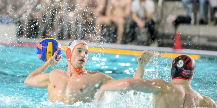 Water – polo : l’élite européenne fait vibrer le Douaisis, une fierté pour le territoire