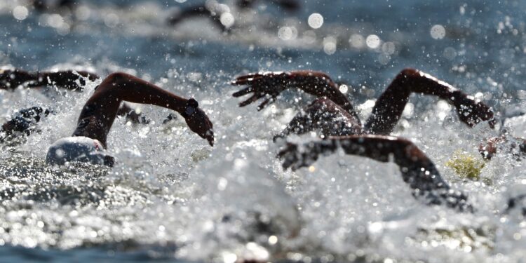 Port-aux-Cerises : vers une réouverture tant attendue de l'espace aquatique en 2026