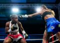 Boxe - EN DIRECT : Gala PALATINA 6 à Lisieux