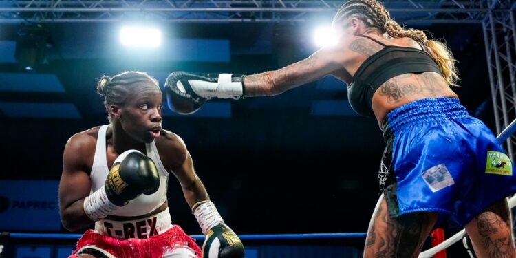 Boxe - EN DIRECT : Gala PALATINA 6 à Lisieux
