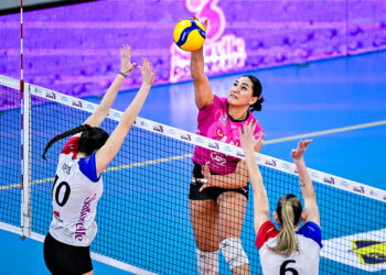 Volley : Paris accueille une double finale de Coupe de France très attendue