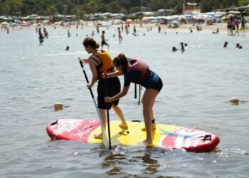 À Bormes-les-Mimosas, le sport comme art de vivre, certifié par le label "Ville Active et Sportive"