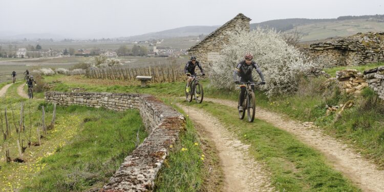 Cyclotourisme : la FF Vélo et la FF Handisport unissent leurs forces pour une pratique plus inclusive