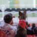 Match 2 Wouf : chiens et supporters réunis au Groupama Stadium pour les playoffs de l&rsquo;OL Lyonnes