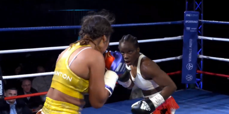 Boxe - REPLAY : Hernandez / D'Almeida à Lisieux (PALATINA 6)