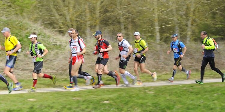 Trail Trait Morbier 2026 : dans le Jura, courir devient une expérience entre nature et terroir