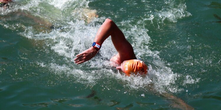 Natation : l'EDF Aqua Challenge fait son tour de France