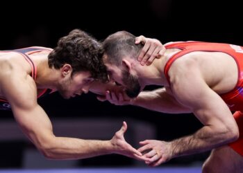 Lutte : quel bilan européen pour l'équipe de France ?