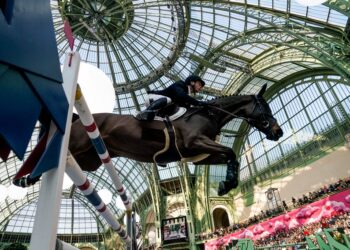 Printemps des Sports Équestres 2026 : Fontainebleau au rythme de l'élite mondiale