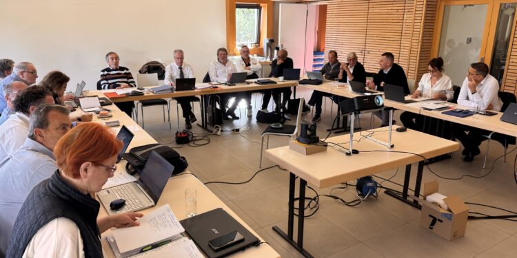 Pétanque : avenir des tournois, règles... les textes officiels vont être finalisés