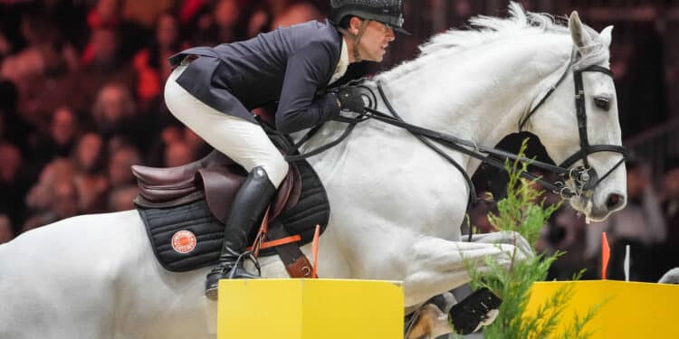 Équitation : le sprint final vers les Mondiaux 2026 est lancé