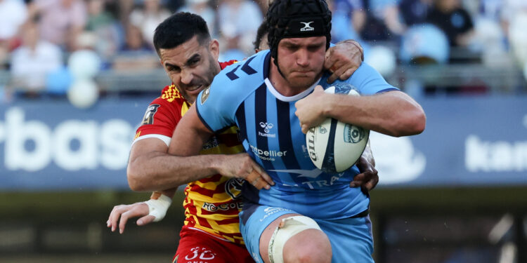 Rugby : avant de rêver du Top 14, place à la Challenge Cup pour Montpellier