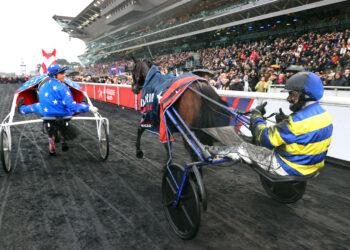 Paris-Vincennes veut transformer la Journée des Champions en grand spectacle populaire