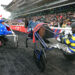 Paris-Vincennes veut transformer la Journée des Champions en grand spectacle populaire