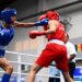 Jeux Méditerranéens 2026 : semaine historique pour la boxe tricolore