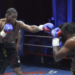 Boxe – PALATINA 8 : Khadjimourad Batashev / Boli Kpassagnon (REPLAY)