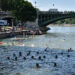 Nage ton canal : la baignade populaire fête sa 9e édition à Pantin