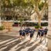 Running : Avignon se prépare pour son tout premier marathon