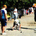 Pétanque : pendant 3 jours, Toulouse vibre avec les Pétanque Days !