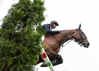 Équitation : la Premier Jumping League débarque en France